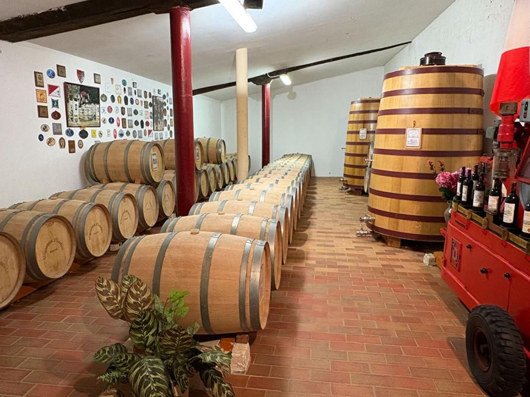 POMEROL OPPORTUNITÉ EXCEPTIONNELLE, DOMANINE VITICOLE À POMEROL 3