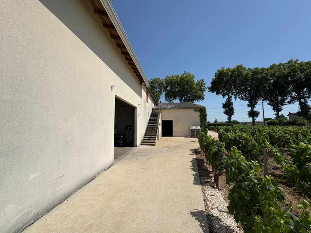 POMEROL OPPORTUNITÉ EXCEPTIONNELLE, DOMANINE VITICOLE À POMEROL 4