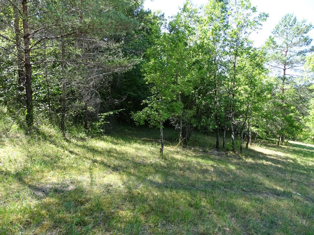 AURIAC-DU-PERIGORD Terrain Auriac Du Perigord 5770 m2 3