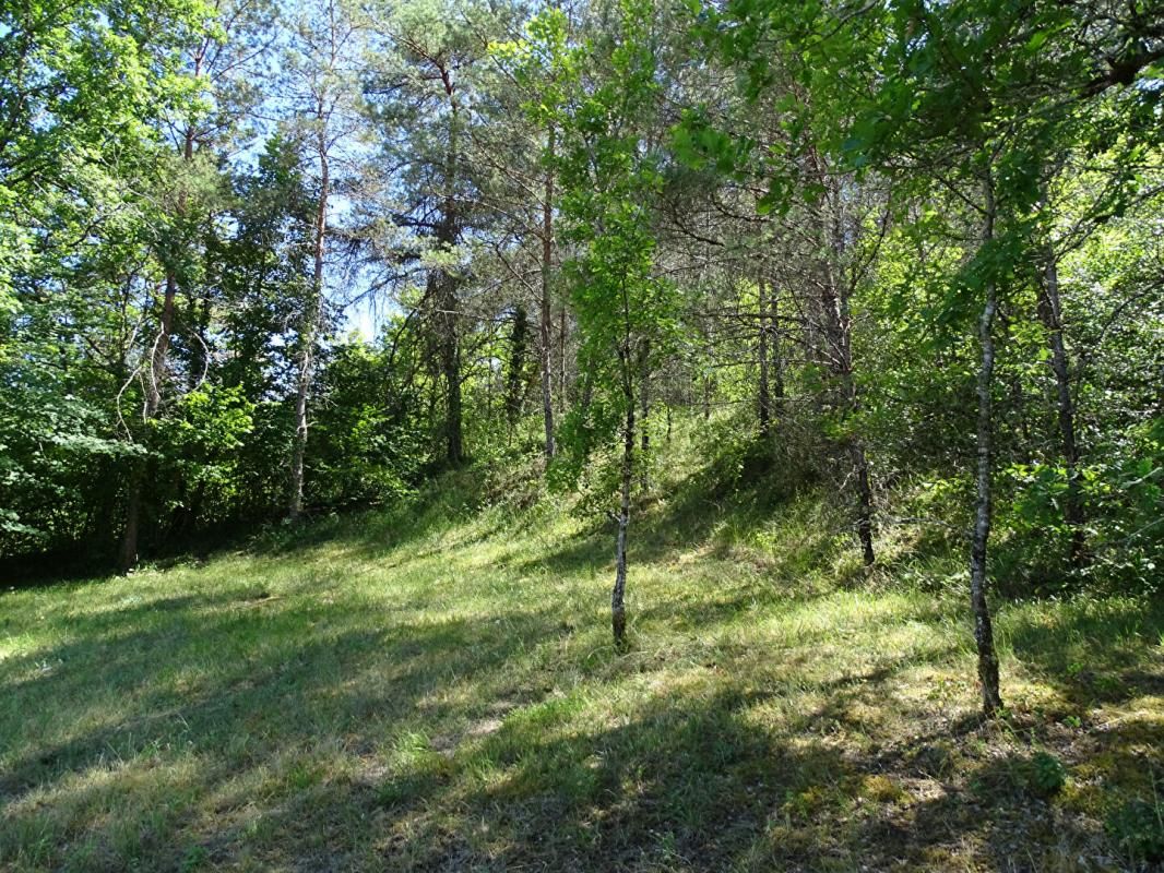 AURIAC-DU-PERIGORD Terrain Auriac Du Perigord 5770 m2 4