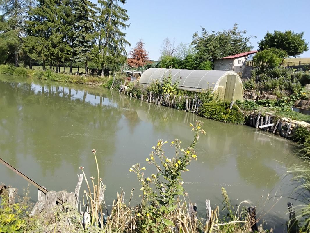 BUFFIGNECOURT Etang à Buffignécourt 1