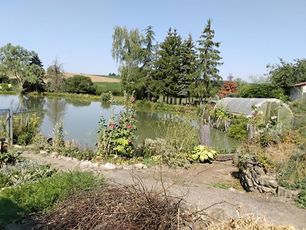 BUFFIGNECOURT Etang à Buffignécourt 2