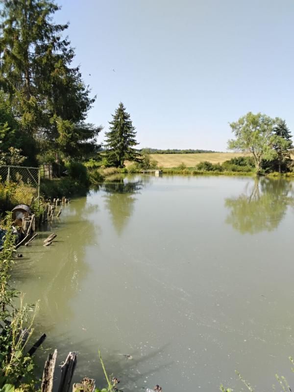 BUFFIGNECOURT Etang à Buffignécourt 3