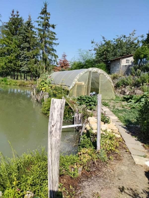 BUFFIGNECOURT Etang à Buffignécourt 4