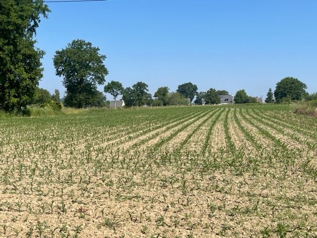 SIXT-SUR-AFF Terrain Sixt Sur Aff 9678 m2 2