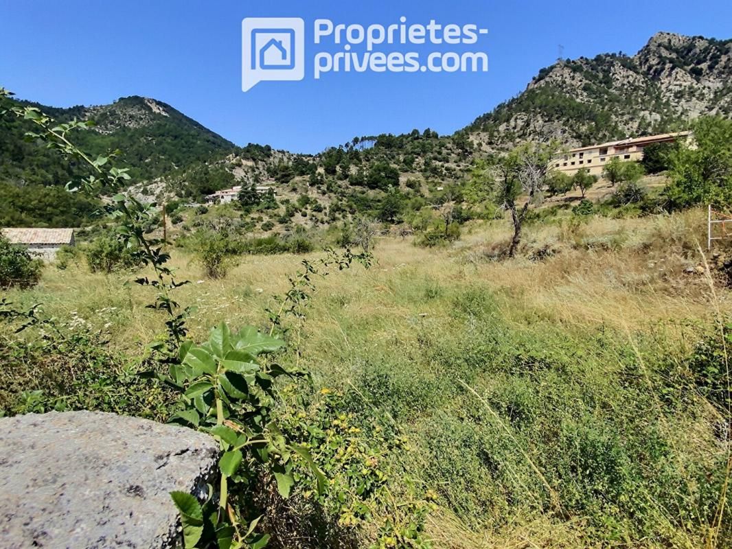 UTELLE Terrain constructible avec bâtis 5000 m2 Utelle 2