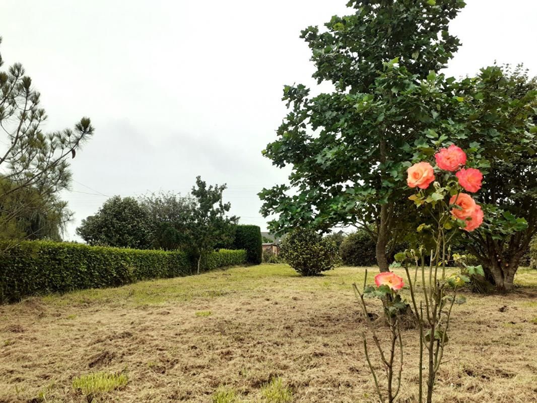 Terrain constructible à bâtir de 1 200 m² à Telgruc sur mer (29 560) - presqu'ile de Crozon