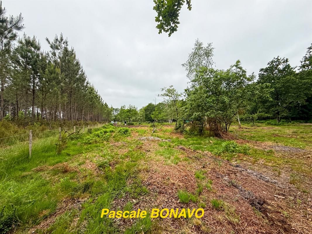 VENDAYS-MONTALIVET VENDAYS-MONTALIVET - Terrain de loisirs 2991 m2 1