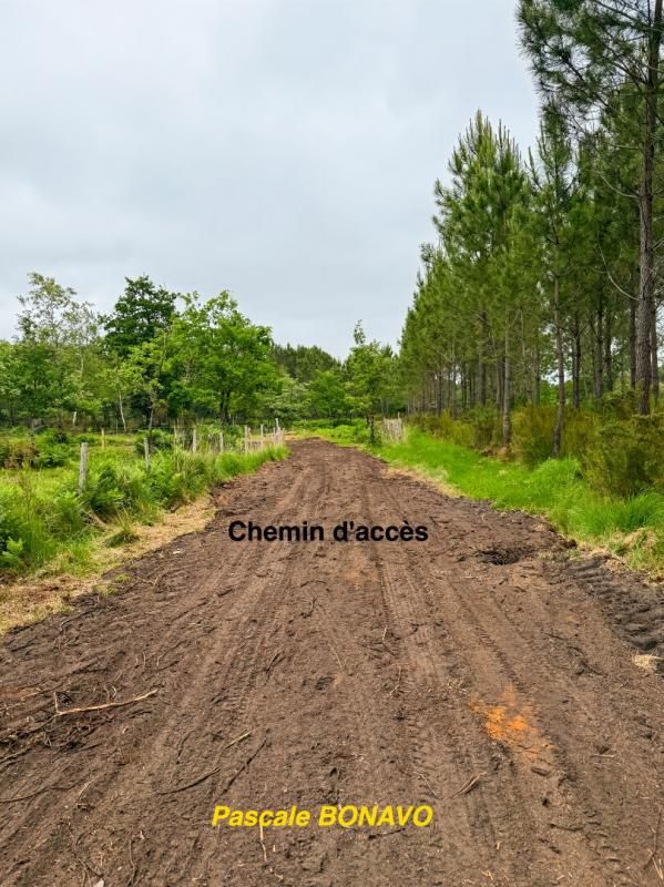 VENDAYS-MONTALIVET VENDAYS-MONTALIVET - Terrain de loisirs 2991 m2 2
