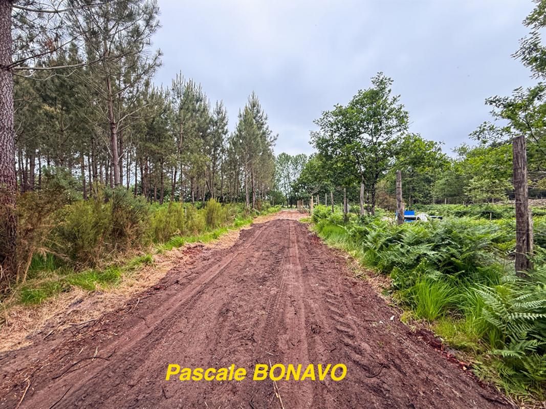 VENDAYS-MONTALIVET VENDAYS-MONTALIVET - Terrain de loisirs 2991 m2 4