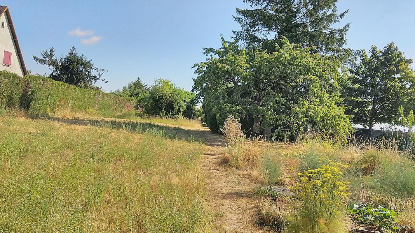 CHATEAUROUX Terrain Chateauroux 2541 m2 1