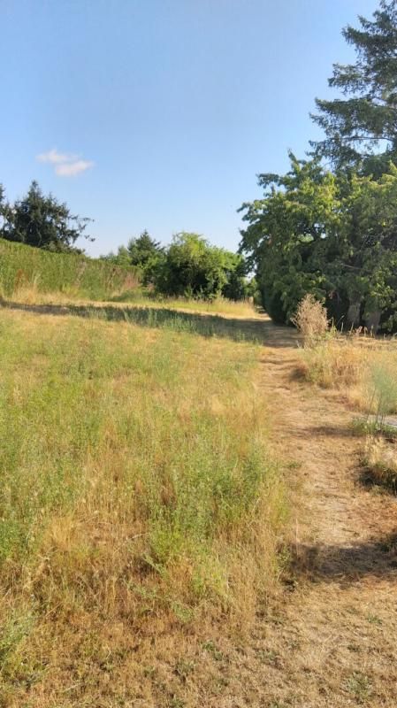 CHATEAUROUX Terrain Chateauroux 2541 m2 2