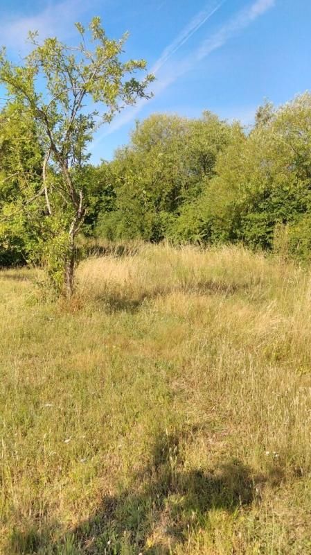 CHATEAUROUX Terrain Chateauroux 2541 m2 3