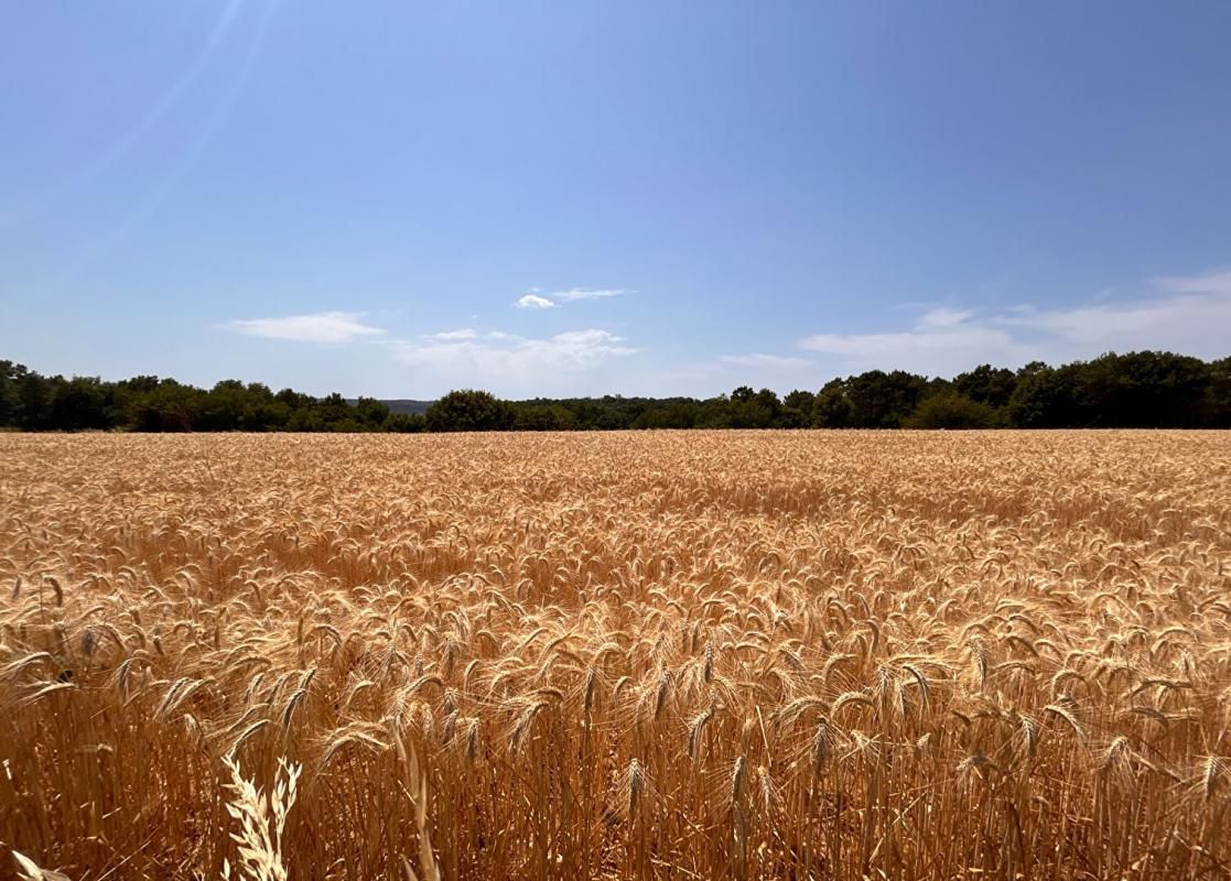 TRELISSAC À vendre, propriété d'exception en pierre sur les hauteurs de Trélissac (24750) 2