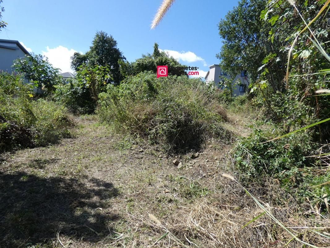 SAINT-PIERRE 97432 ST PIERRE LIGNE 400 Terrain ENV 600 m2 PLAT BEL ENVIRONNEMENT 3