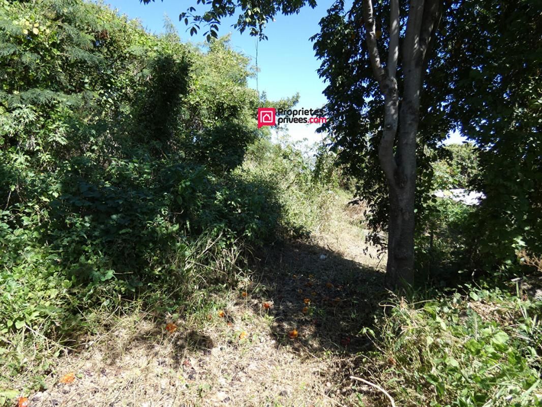SAINT-PIERRE 97432 ST PIERRE LIGNE 400 Terrain ENV 600 m2 PLAT BEL ENVIRONNEMENT 4