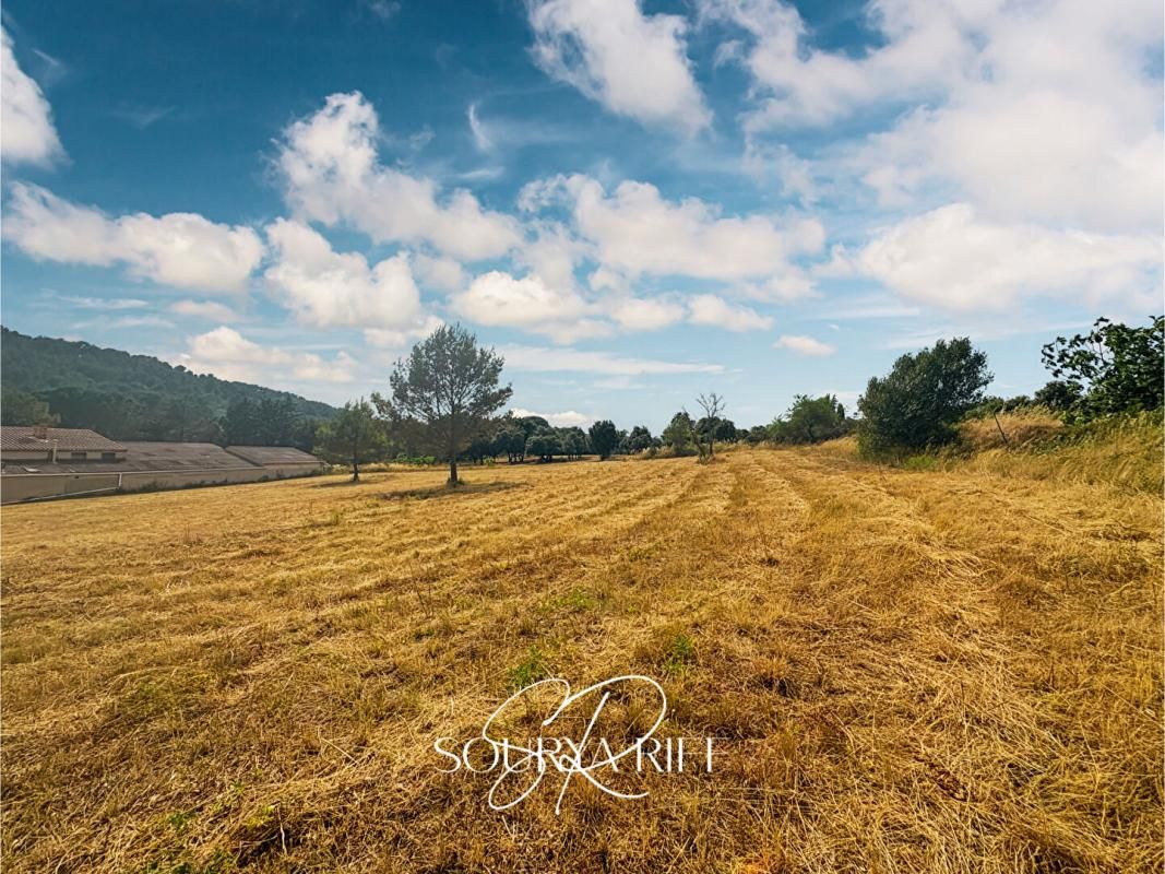 VILLENEUVE-MINERVOIS Terrain Villeneuve Minervois 3290 m2 4