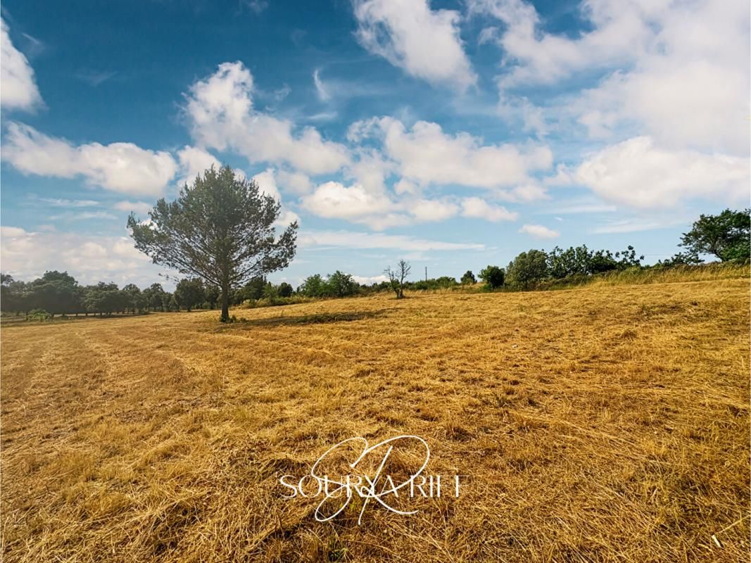 VILLENEUVE-MINERVOIS Terrain Villeneuve Minervois 3290 m2 3