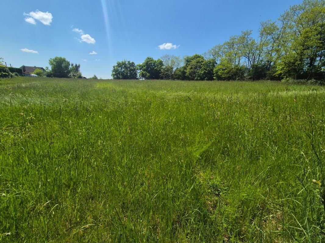 VENDAT Terrain Vendat 4