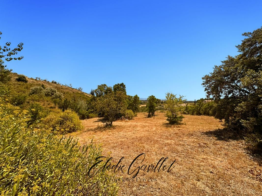 CAUNES-MINERVOIS Terrain constructible Caunes Minervois 3070 m2 1