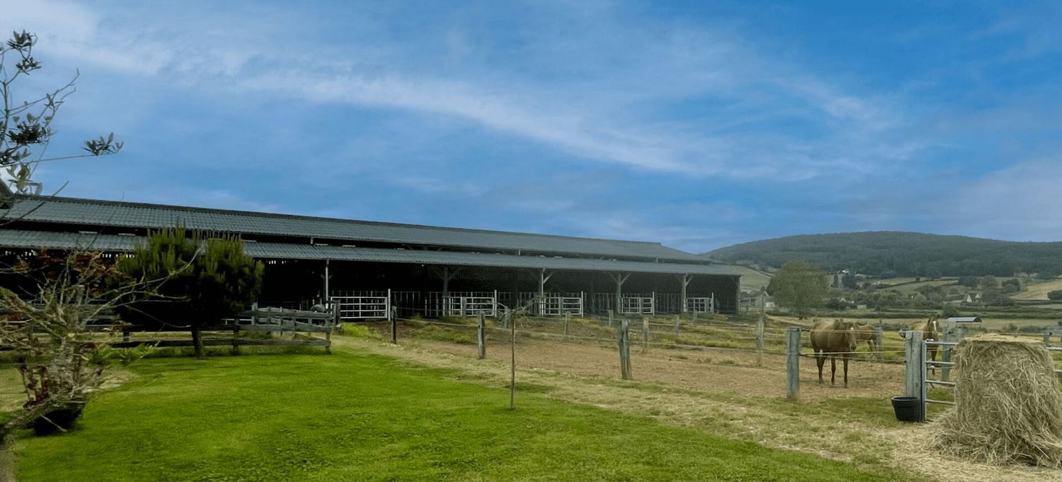 CLUNY Propriété sur plusieurs hectares 2