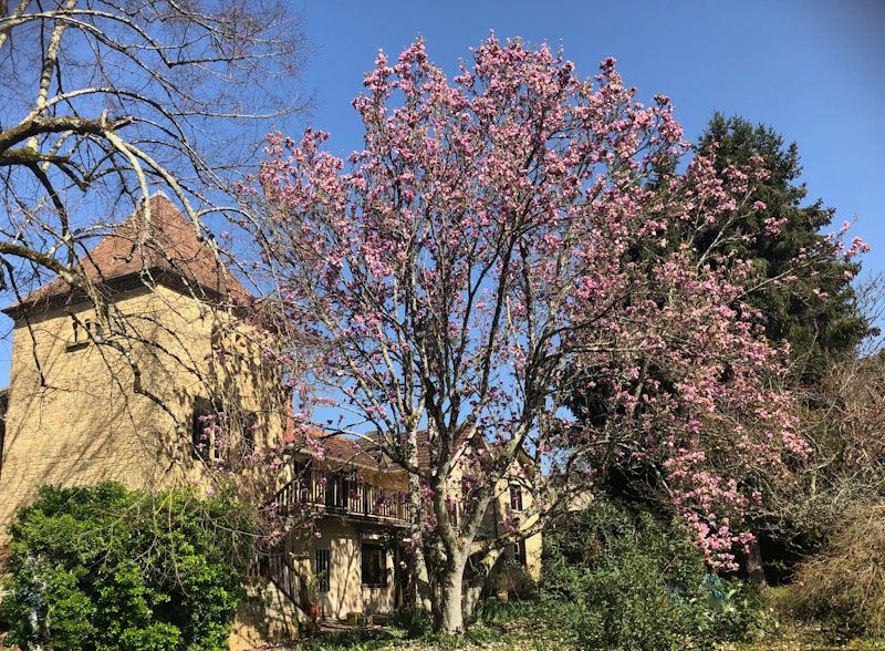 COUZE-ET-SAINT-FRONT 24150 - Charmante  et grande maison de village en pierre, 6chambres, jolie jardin, garage 2