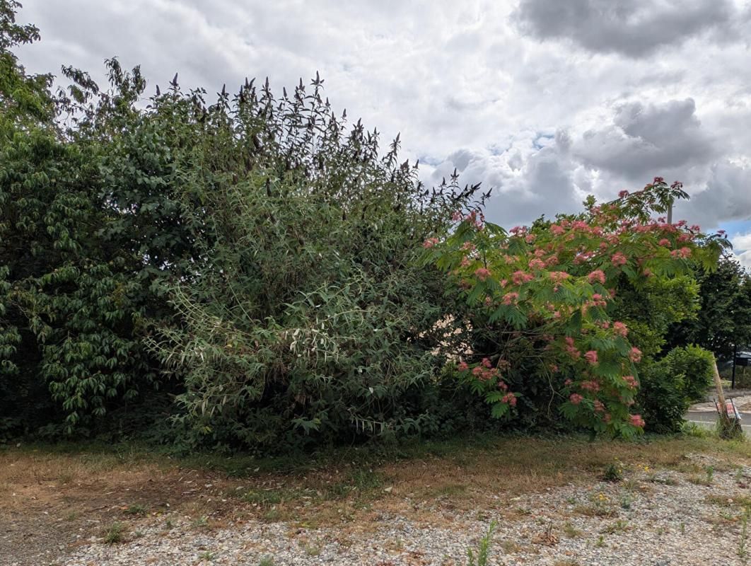 SOULIGNE-FLACE Terrain constructible 2653 m2 1
