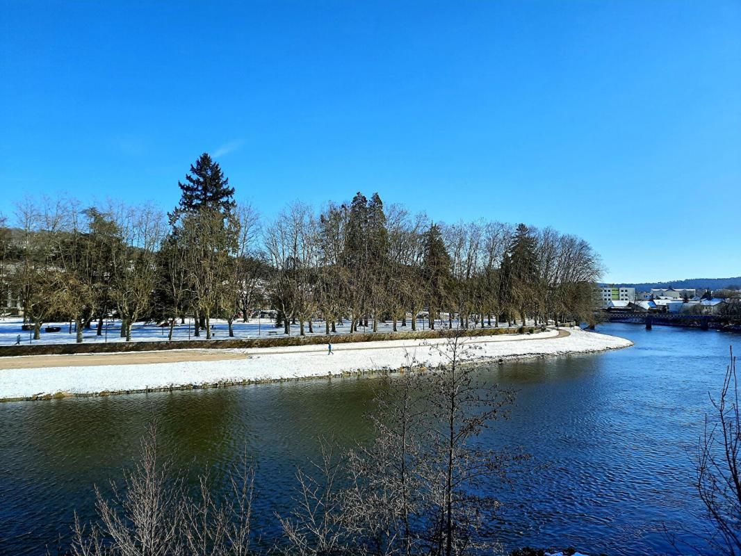 EPINAL Appartement Epinal 5 pièce(s) 96 m2 jardin et terrasse 1