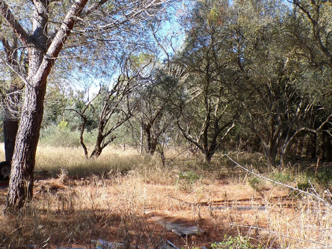 Terrain à bâtir - SECTEUR RESIDENTIEL