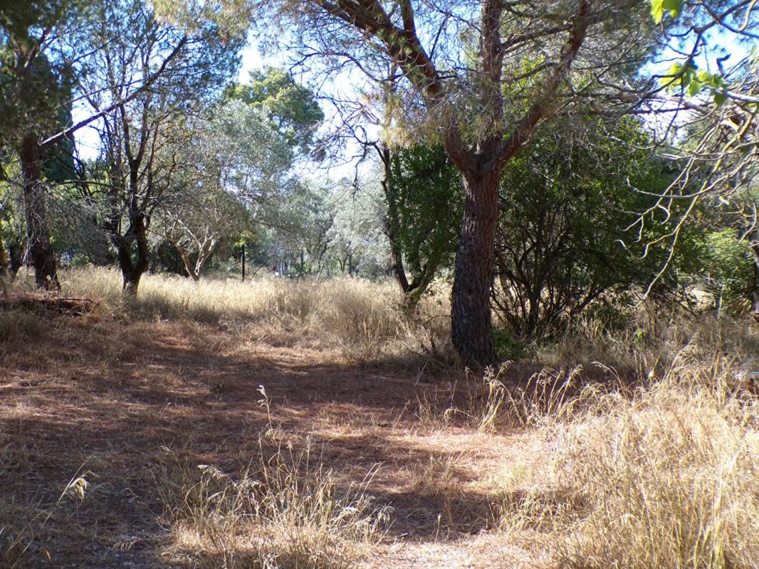 NARBONNE Terrain à bâtir - SECTEUR RESIDENTIEL 4