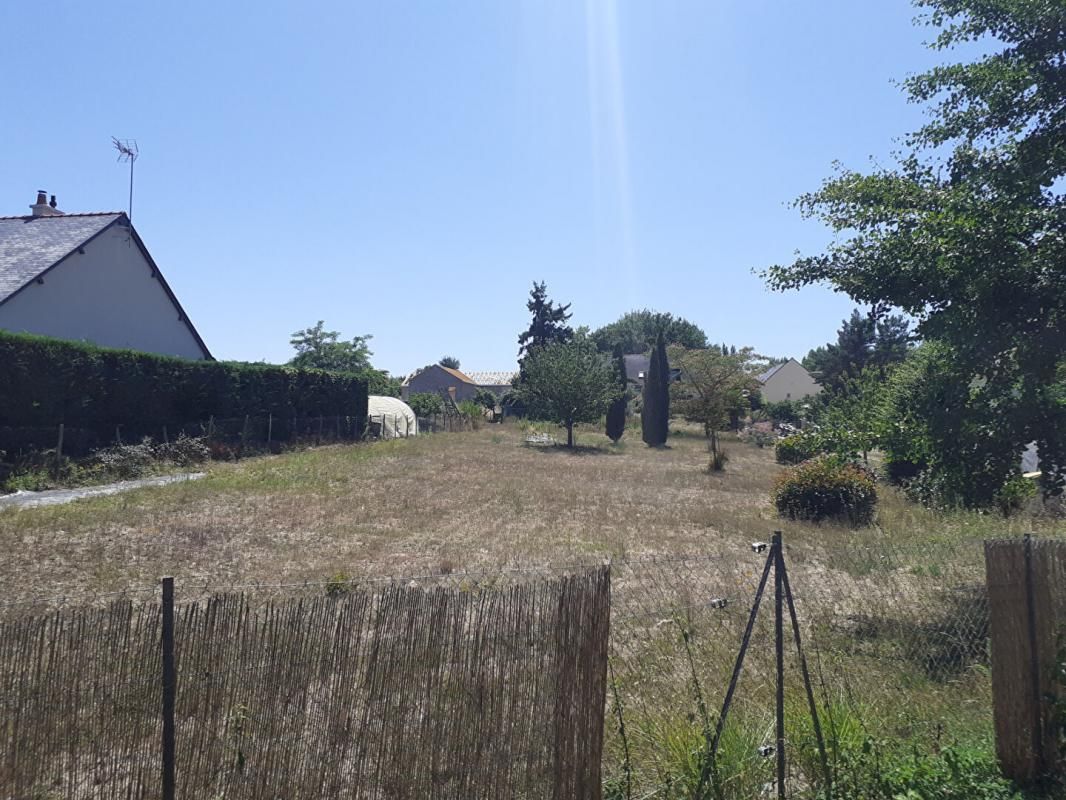 LONGUE-JUMELLES Terrain  1500 m2 2