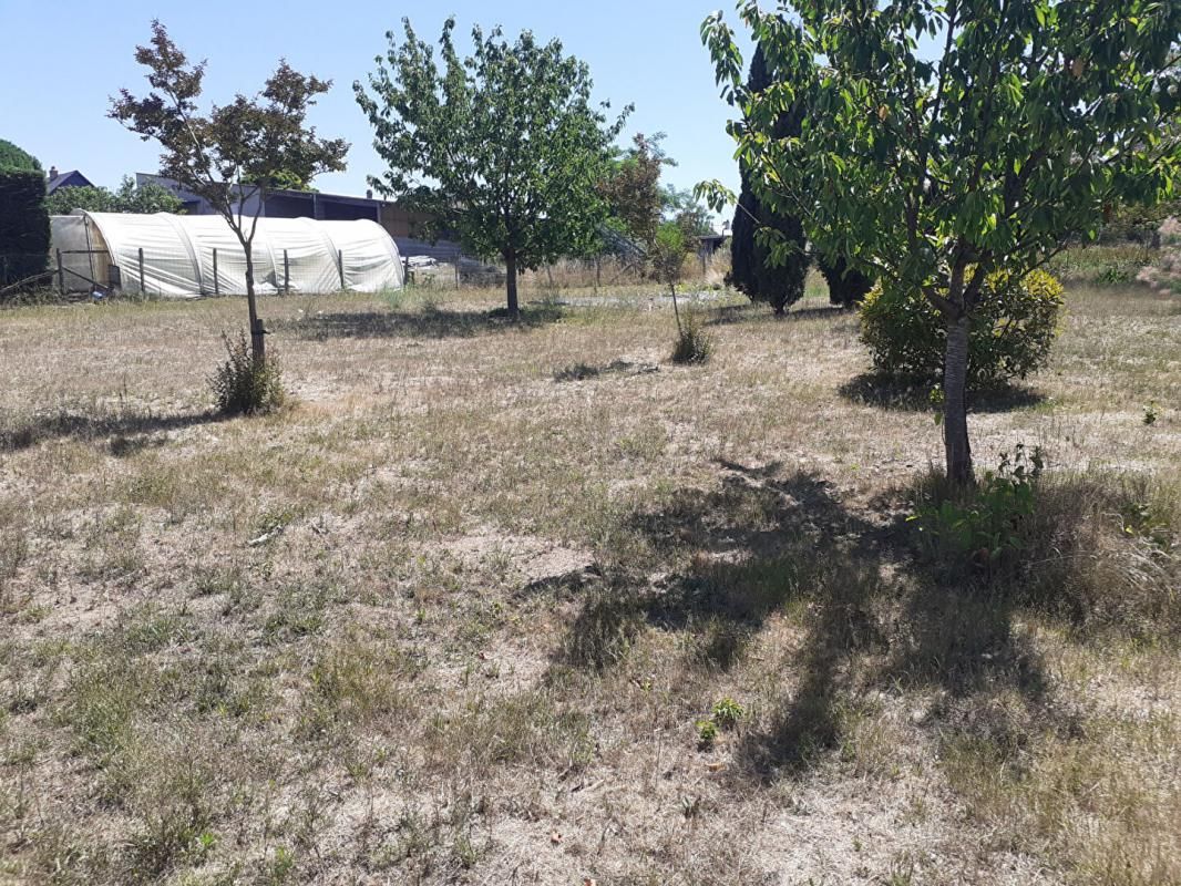 LONGUE-JUMELLES Terrain  1500 m2 3