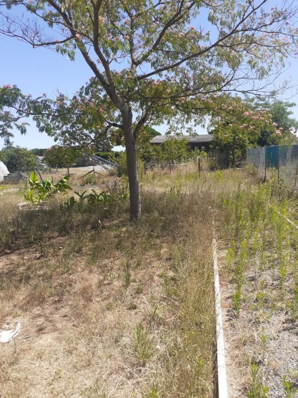 LONGUE-JUMELLES Terrain  1500 m2 4