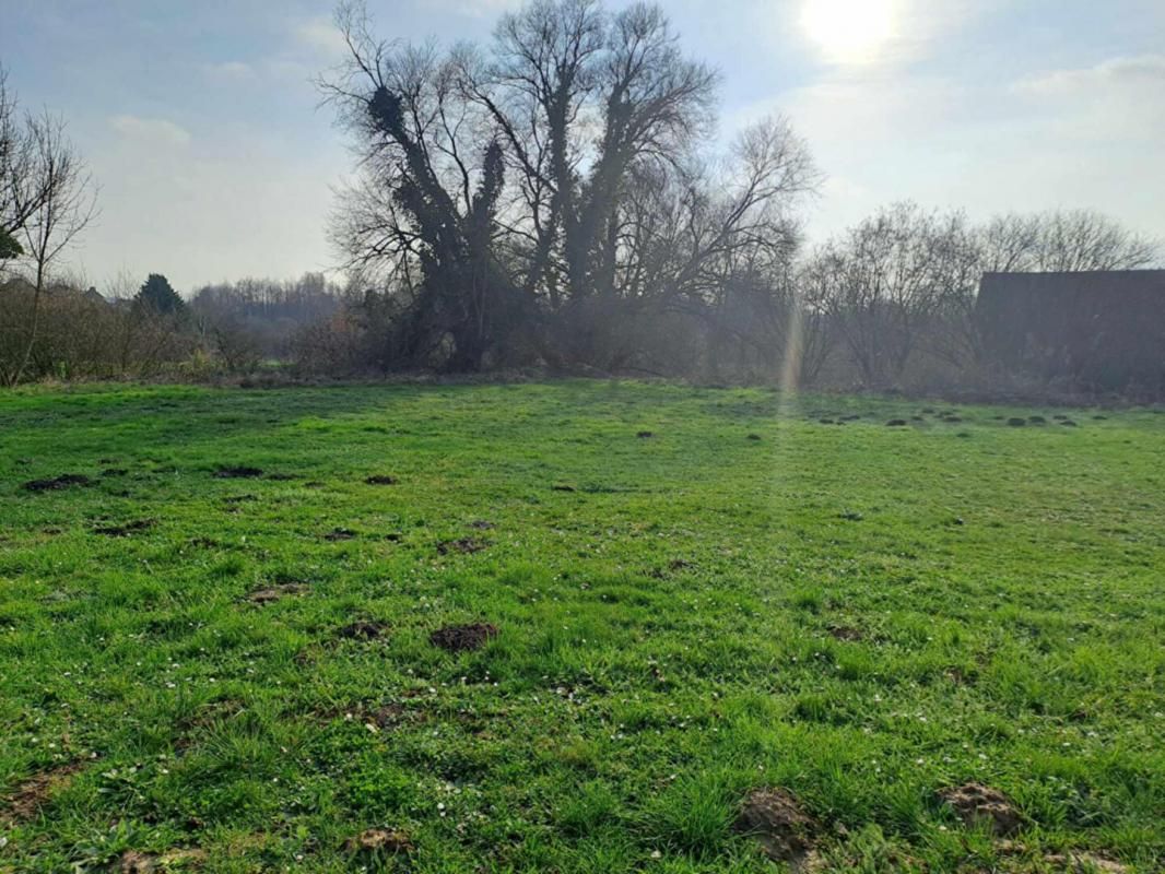 COUCY-LE-CHATEAU-AUFFRIQUE Terrain 2472 m² Coucy Le Chateau Auffrique 4