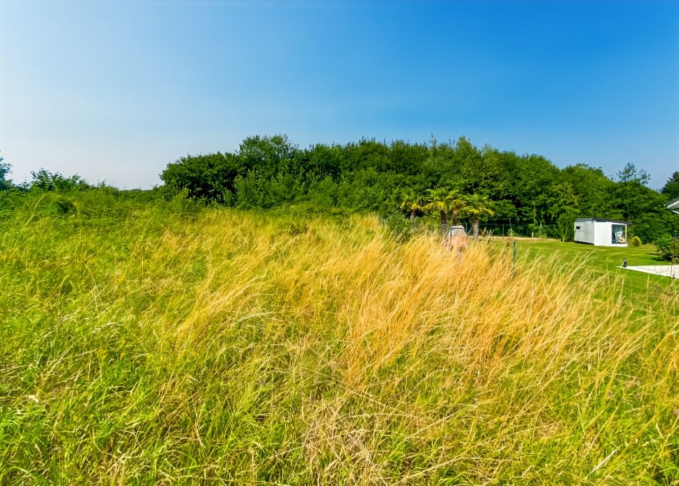 SACHY NOUVEAUTÉ ? À SAISIR - Terrain constructible 1 200 m² ? Emplacement à forte visibilité 2