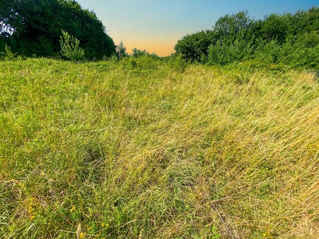 SACHY NOUVEAUTÉ ? À SAISIR - Terrain constructible 1 200 m² ? Emplacement à forte visibilité 3