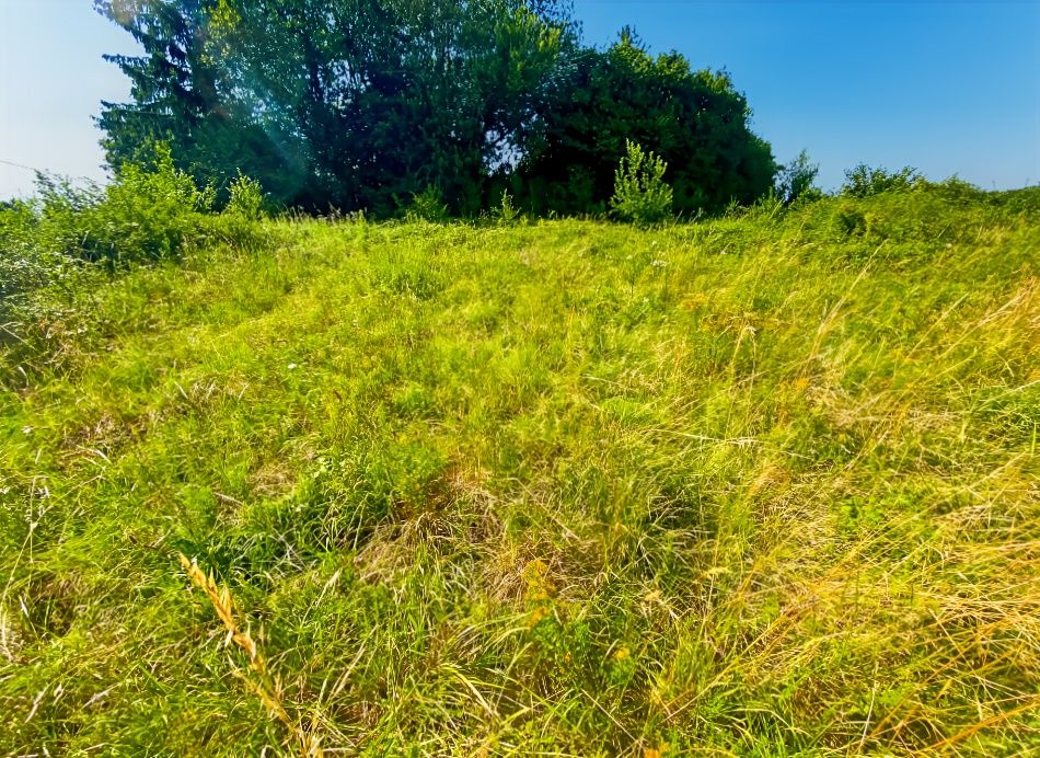 SACHY NOUVEAUTÉ ? À SAISIR - Terrain constructible 1 200 m² ? Emplacement à forte visibilité 4