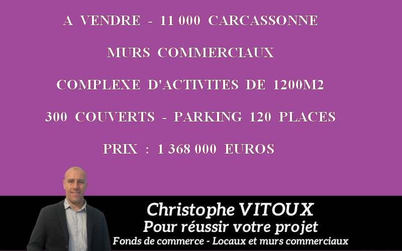 CARCASSONNE COMPLEXE D'ACTIVITES 1200 M2 - 11000 CARCASSONNE 1