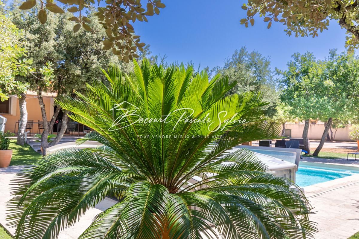 SAINT-DIDIER Maison St Didier 7 pièce(s) 178 m2 sur 3250 m2 avec piscine hyper calme 4