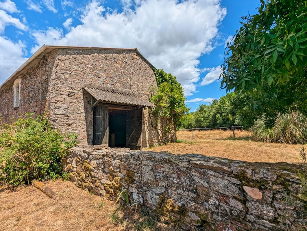COUERON Maison 8 pièce(s) 253 m2 3