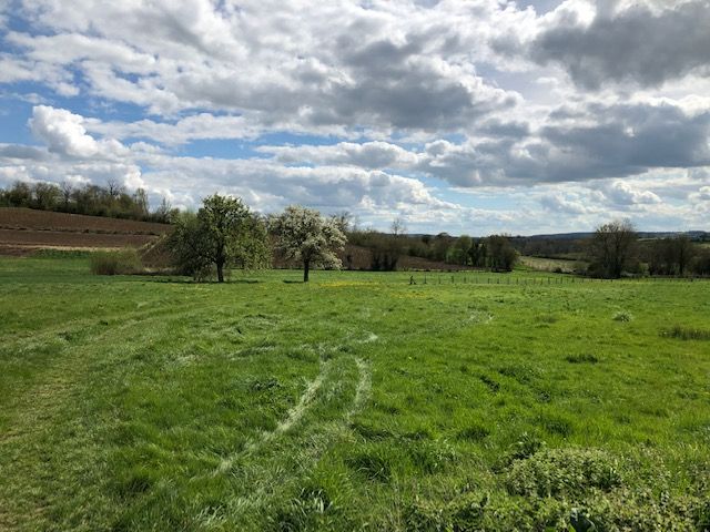 GOURNAY-EN-BRAY Terrain  à bâtir 1045 M2 proche de Gournay en Bray 1