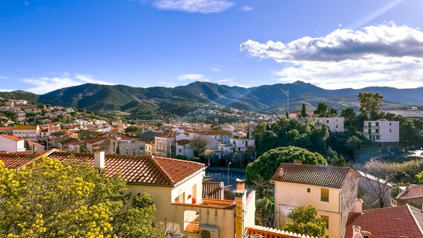 BANYULS-SUR-MER Maison, Immeuble, 9 pièces, double garage, jardin 3