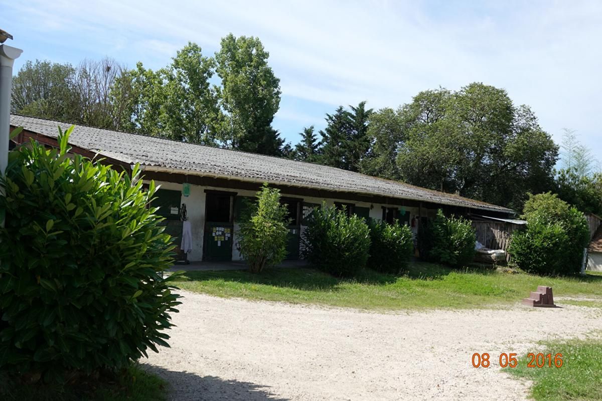 LIGNY-LE-RIBAULT Centre équestre et habitation en Sologne, aux portes d'Orléans 2
