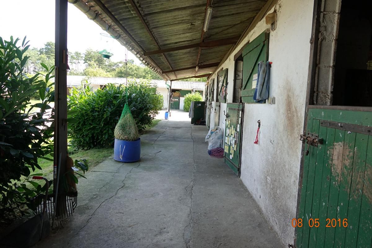 LIGNY-LE-RIBAULT Centre équestre et habitation en Sologne, aux portes d'Orléans 3