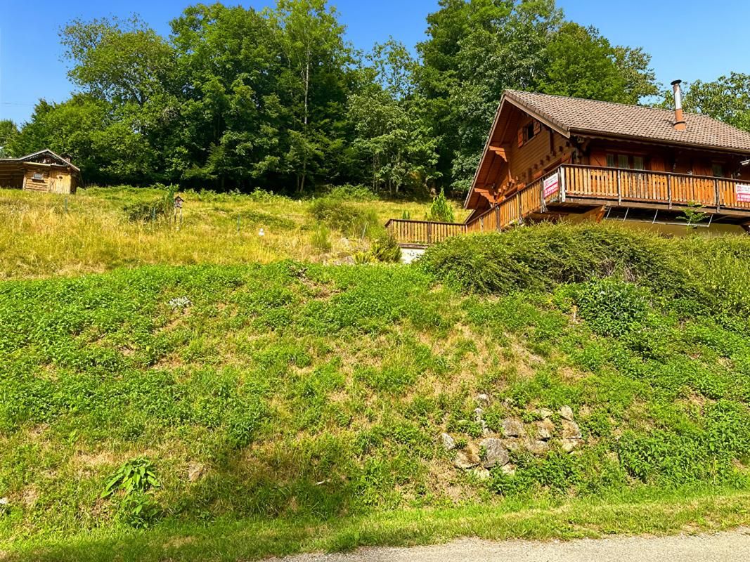 KRUTH Chalet de charme, Kruth, 68820, 5 pièces, 90 m2, terrain 22 ares 1
