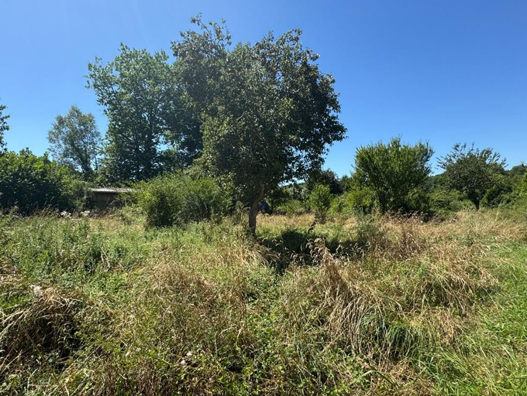 ROMAGNE Petite propriété sur 1ha56 3