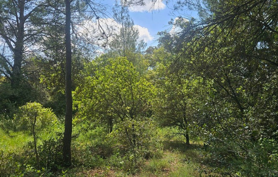 LAVAL-PRADEL Terrain de Loisirs Laval Pradel 2950 m2 1