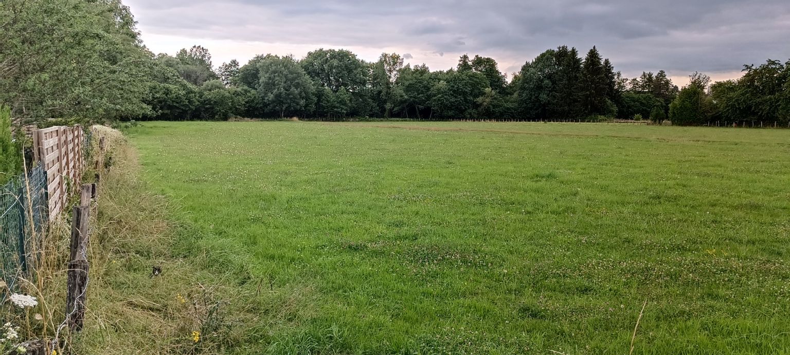 LUXEUIL-LES-BAINS Terrain constructible 6704 m2 Luxeuil 2