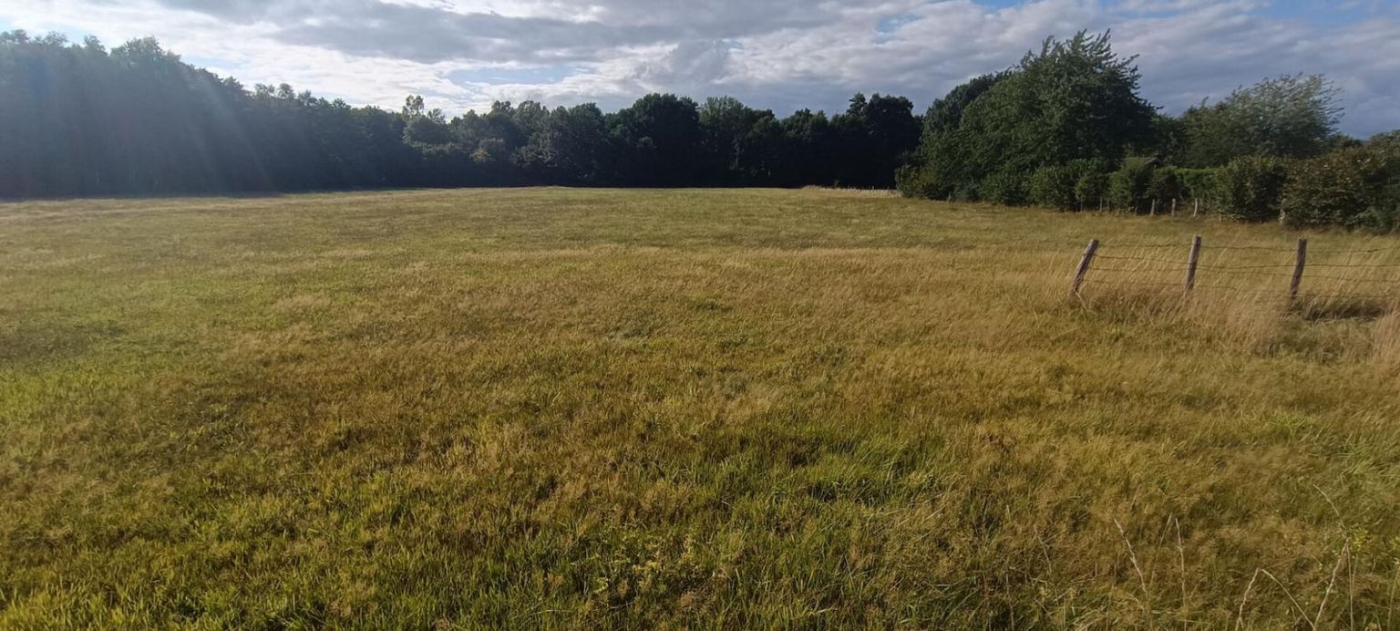 LUXEUIL-LES-BAINS Terrain constructible. 9159 M2 m2 luxeuil 4