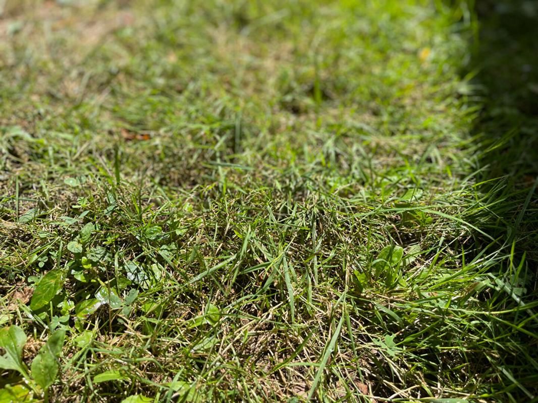 NOGENT-SUR-VERNISSON Terrain Nogent-sur-vernisson 450 m2 1